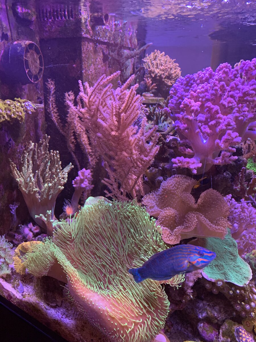 IMG_6022.jpeg