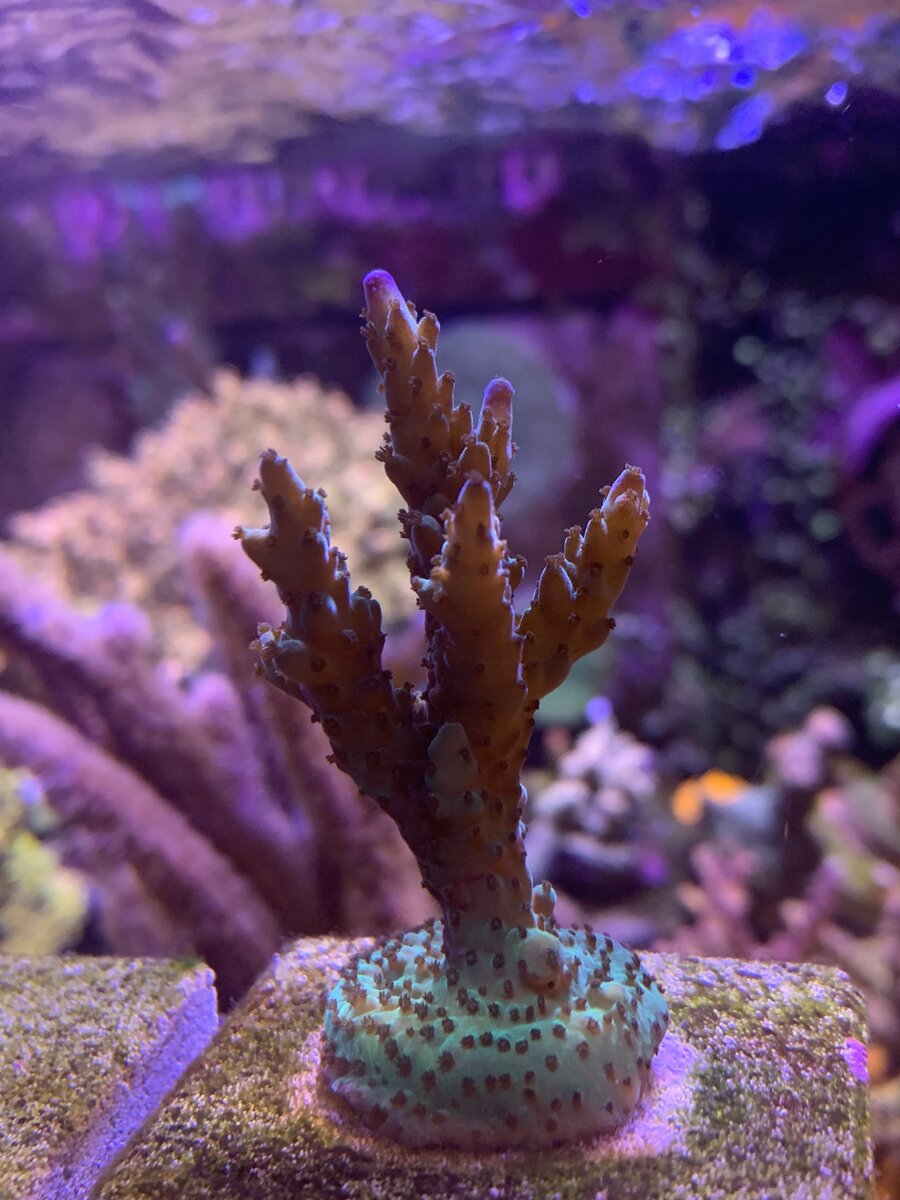 IMG_6053.jpeg