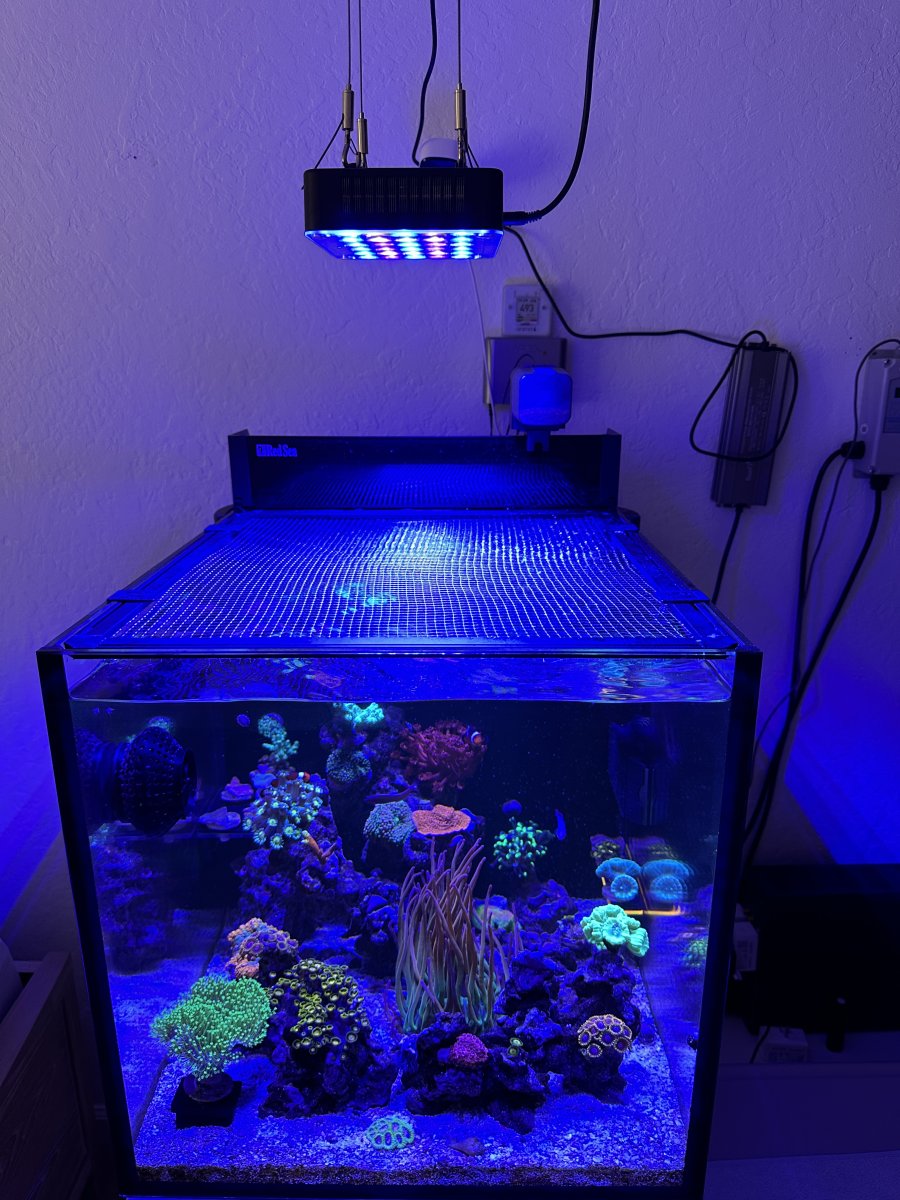 RedSea　MAX NANO Peninsula MAX NANO G2 Peninsula Aquarium (26 Gal) - Bulk Reef Supply