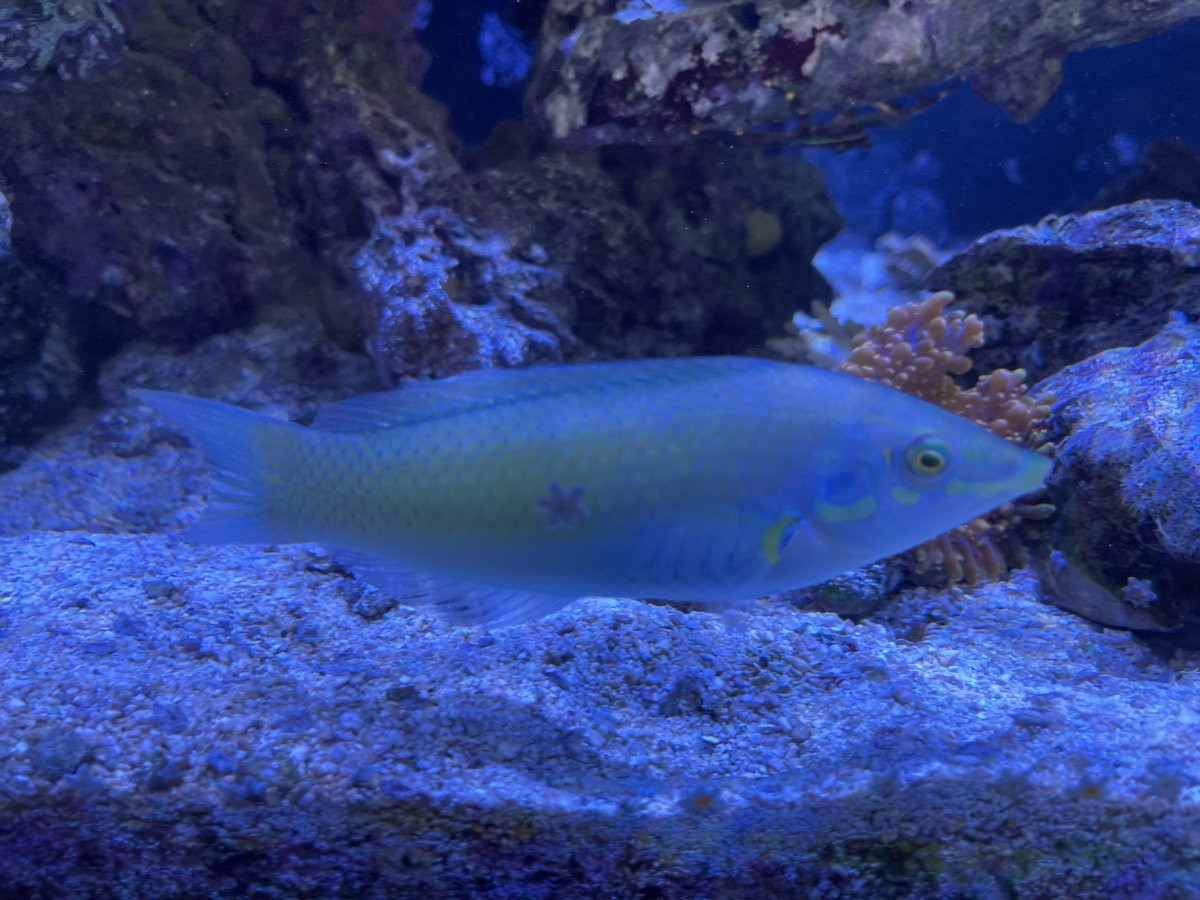 IMG_6064.jpeg