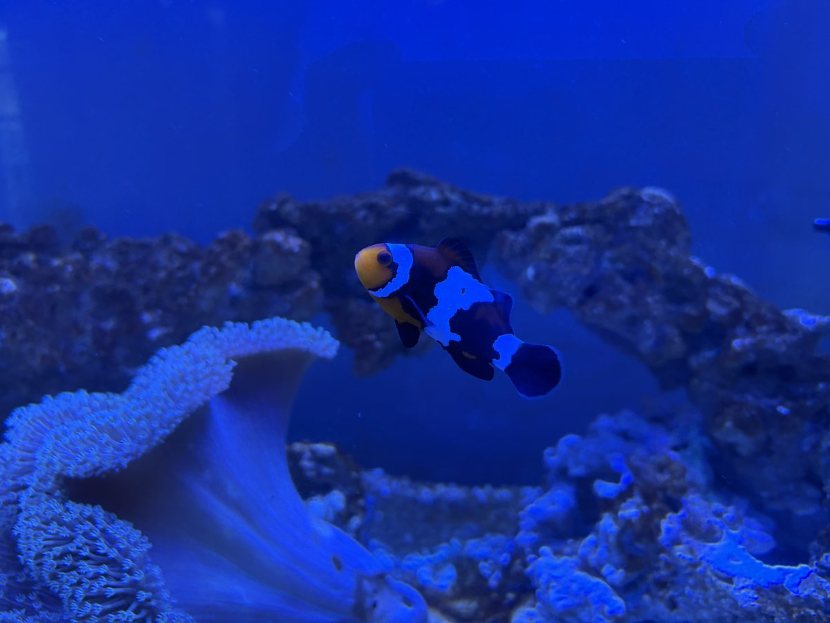 IMG_6071.jpeg