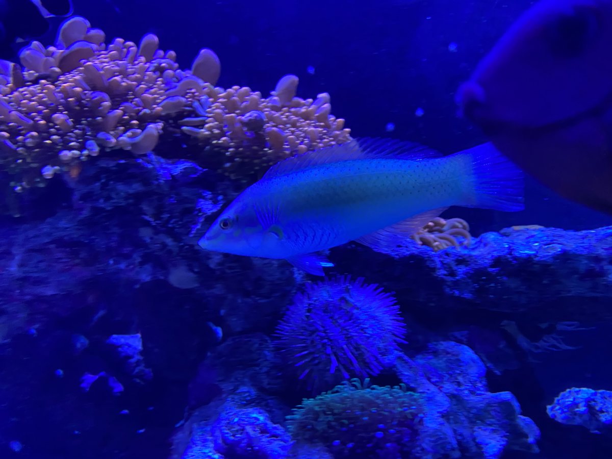 IMG_6076.jpeg