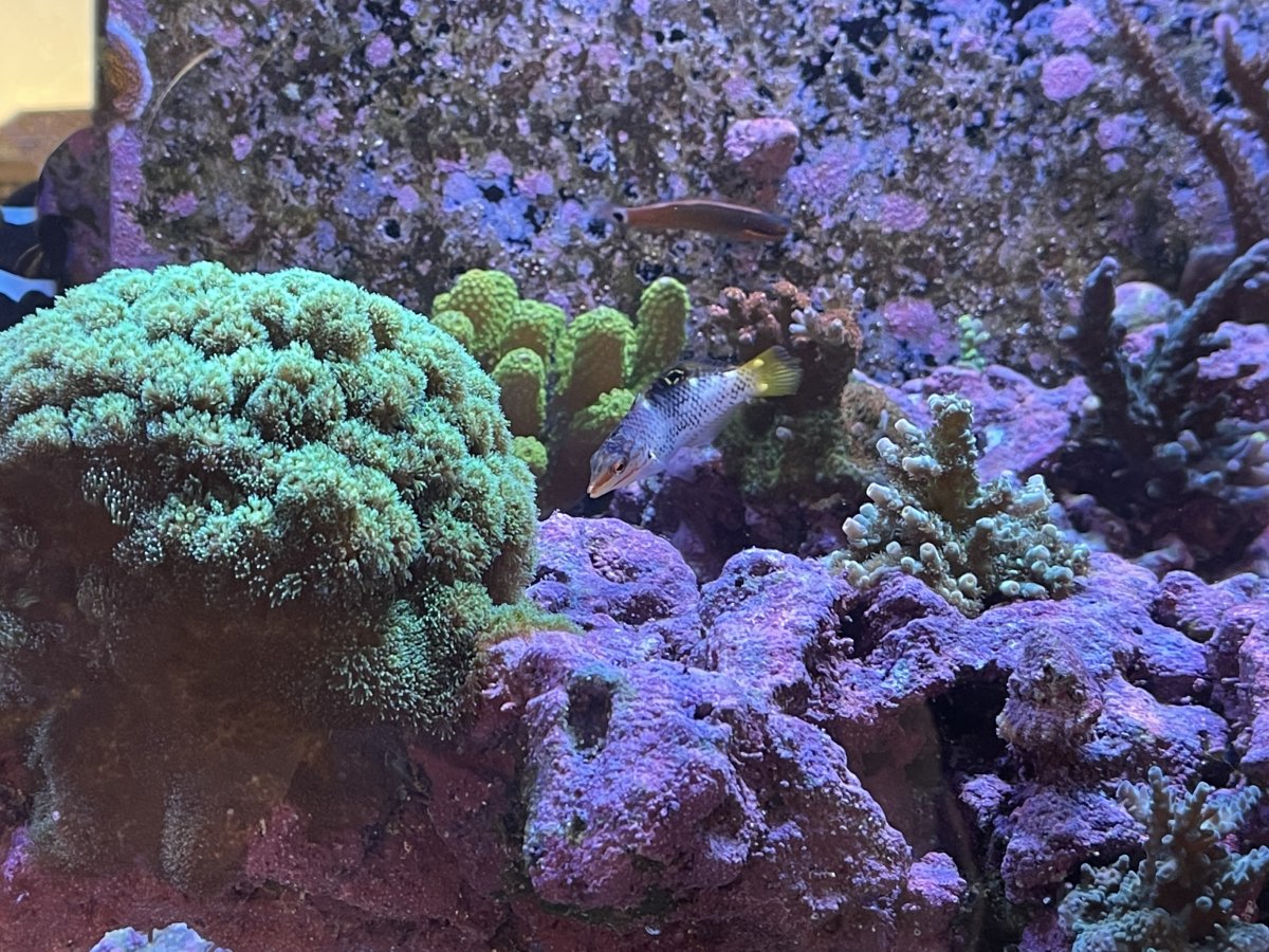 IMG_6092.jpeg