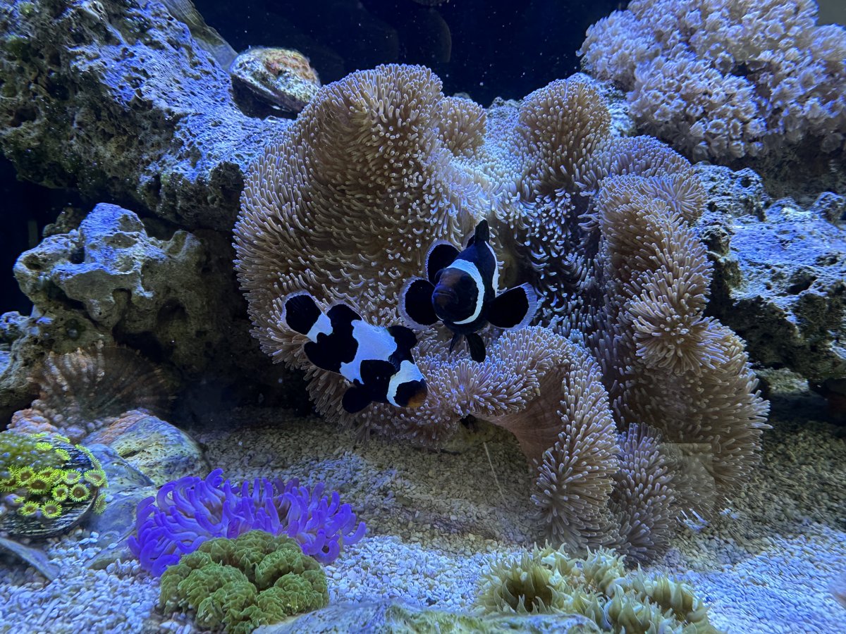 IMG_6092.jpeg