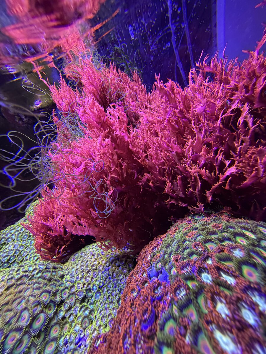 IMG_6103.jpeg