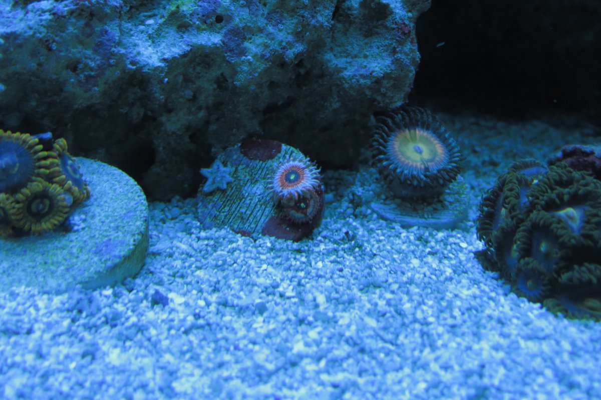 IMG_6103.JPG
