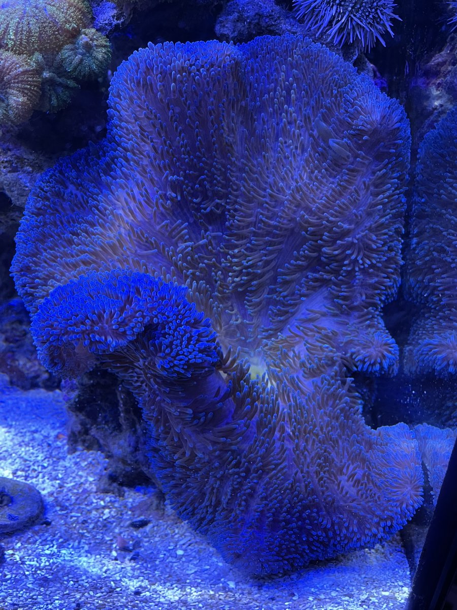 IMG_6111.jpeg