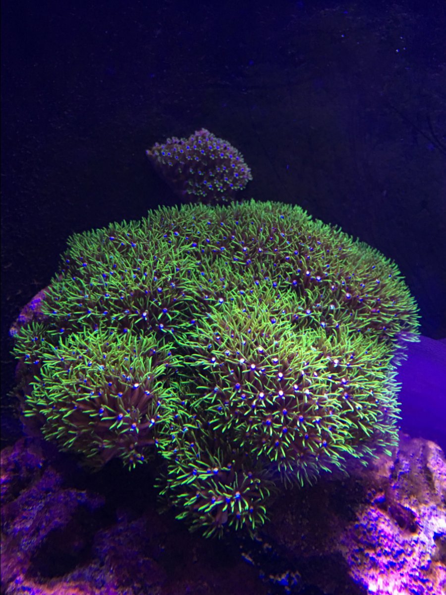 IMG_6124.JPG