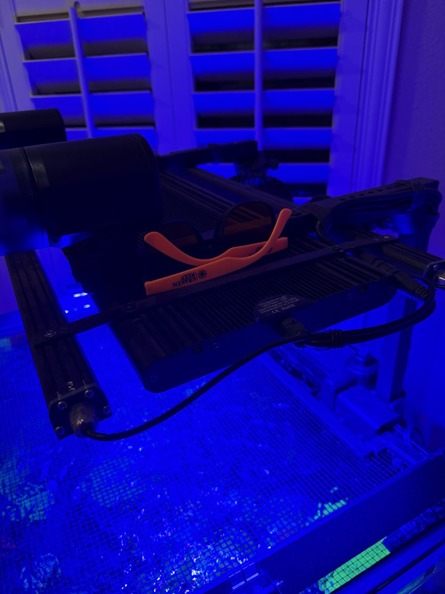 IMG_6139.jpeg