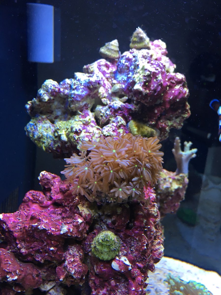 IMG_6141.JPG