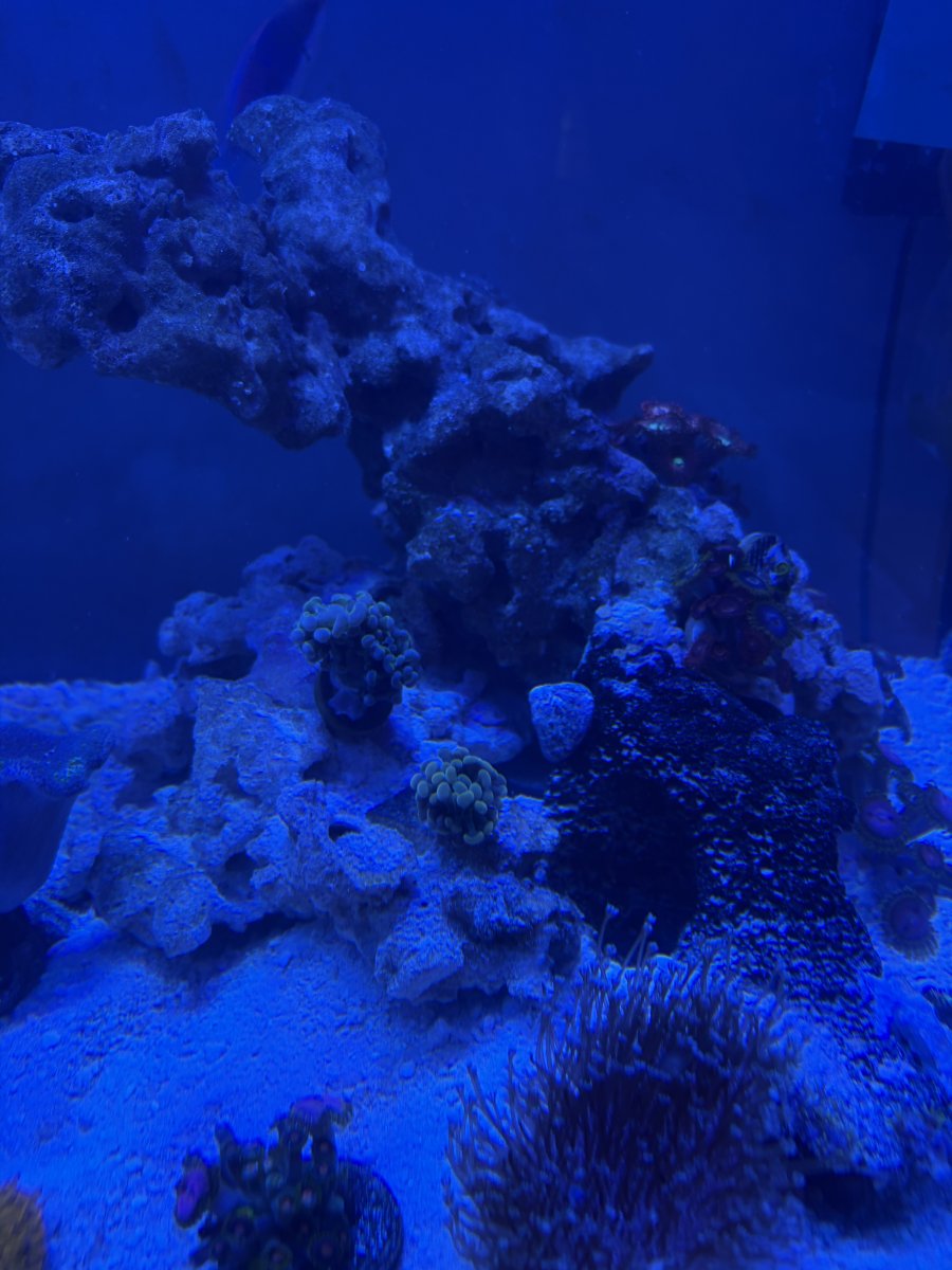 IMG_6150.jpeg