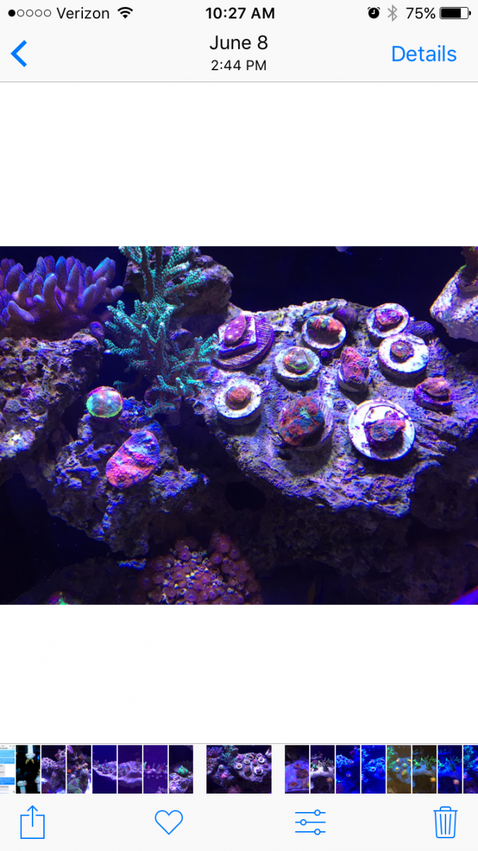 IMG_6150.PNG