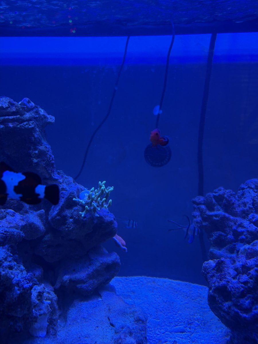 IMG_6151.jpeg