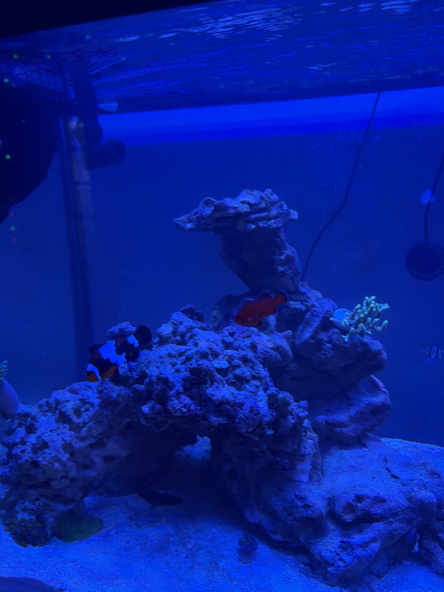IMG_6152.jpeg