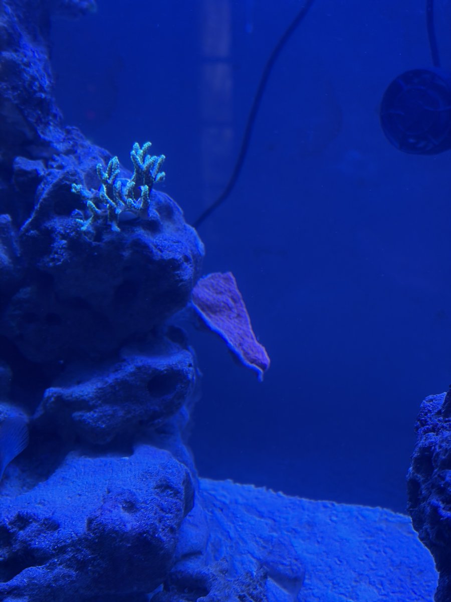 IMG_6154.jpeg