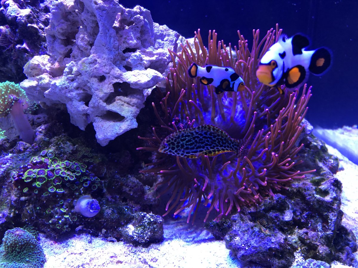 IMG_6190.jpeg
