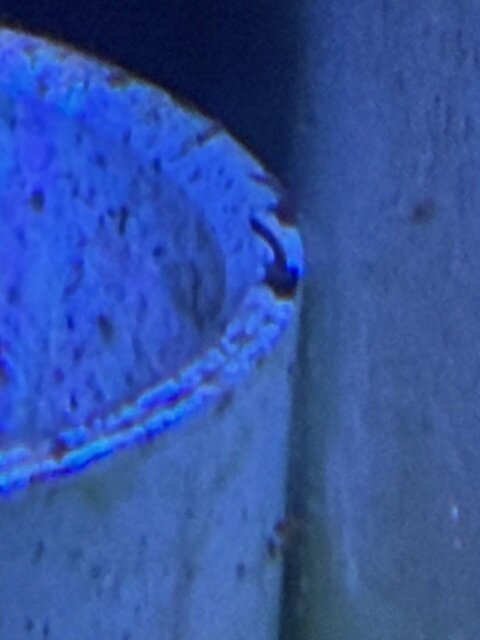 IMG_6191.jpeg