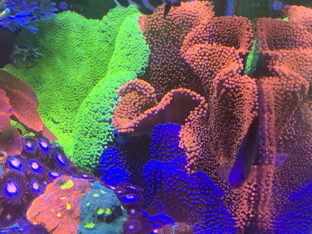 IMG_6220.jpeg