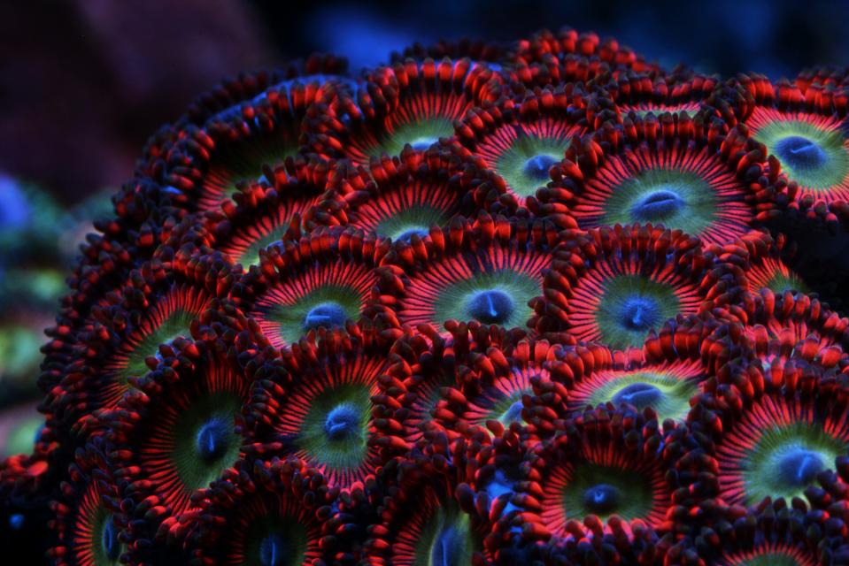 IMG_6237252.jpg