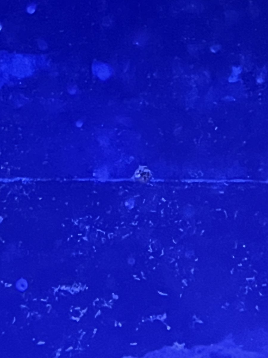 IMG_6256.jpeg