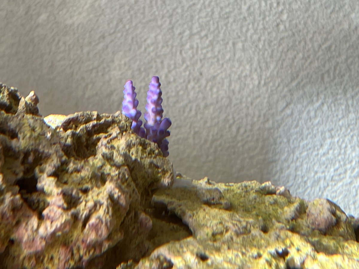 IMG_6269.jpeg