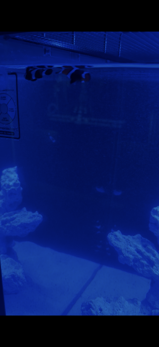 IMG_6282.png
