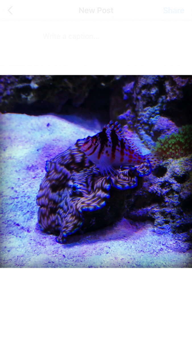 IMG_6291.PNG
