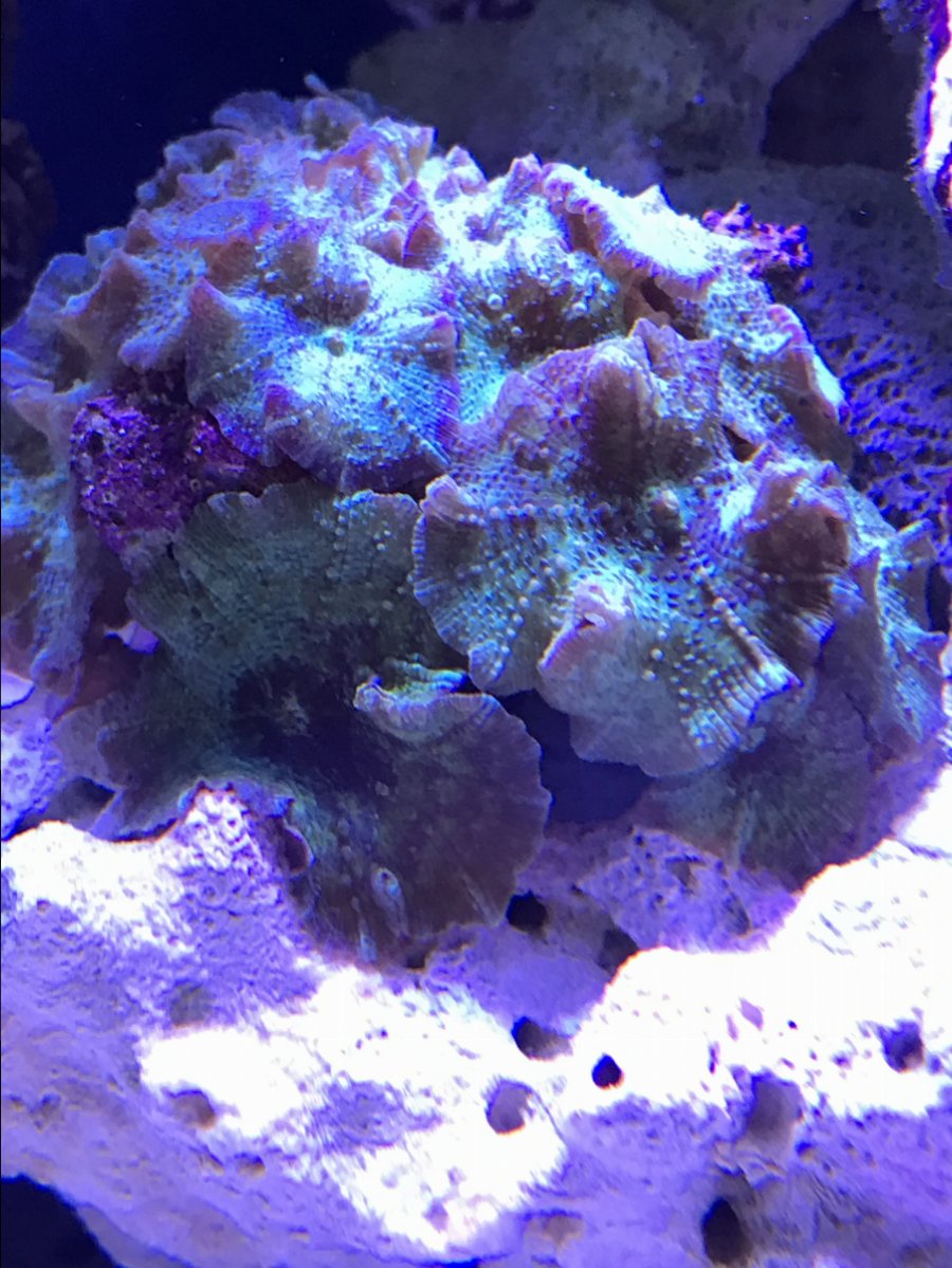 IMG_6307.JPG