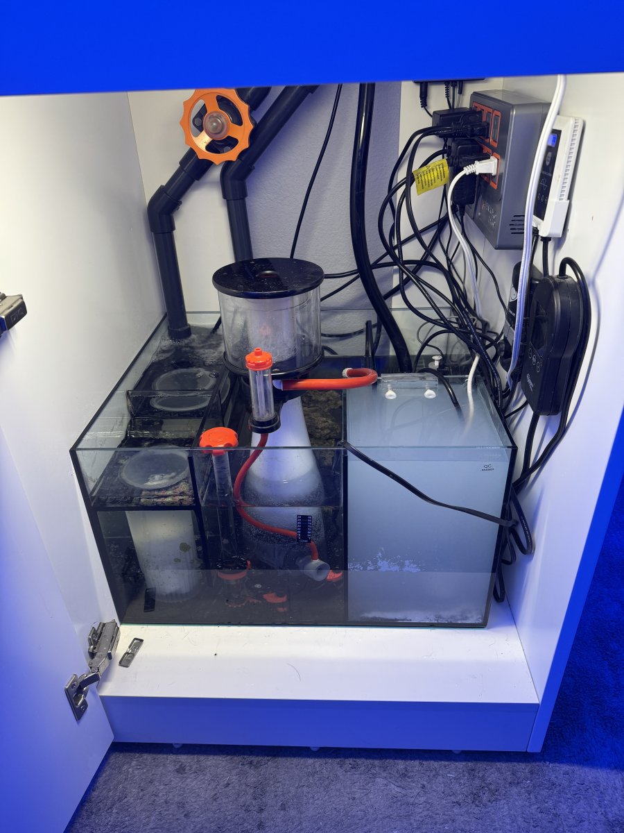 A thread tracking pure skip cycle instant reefs, no bottle bac | Page ...