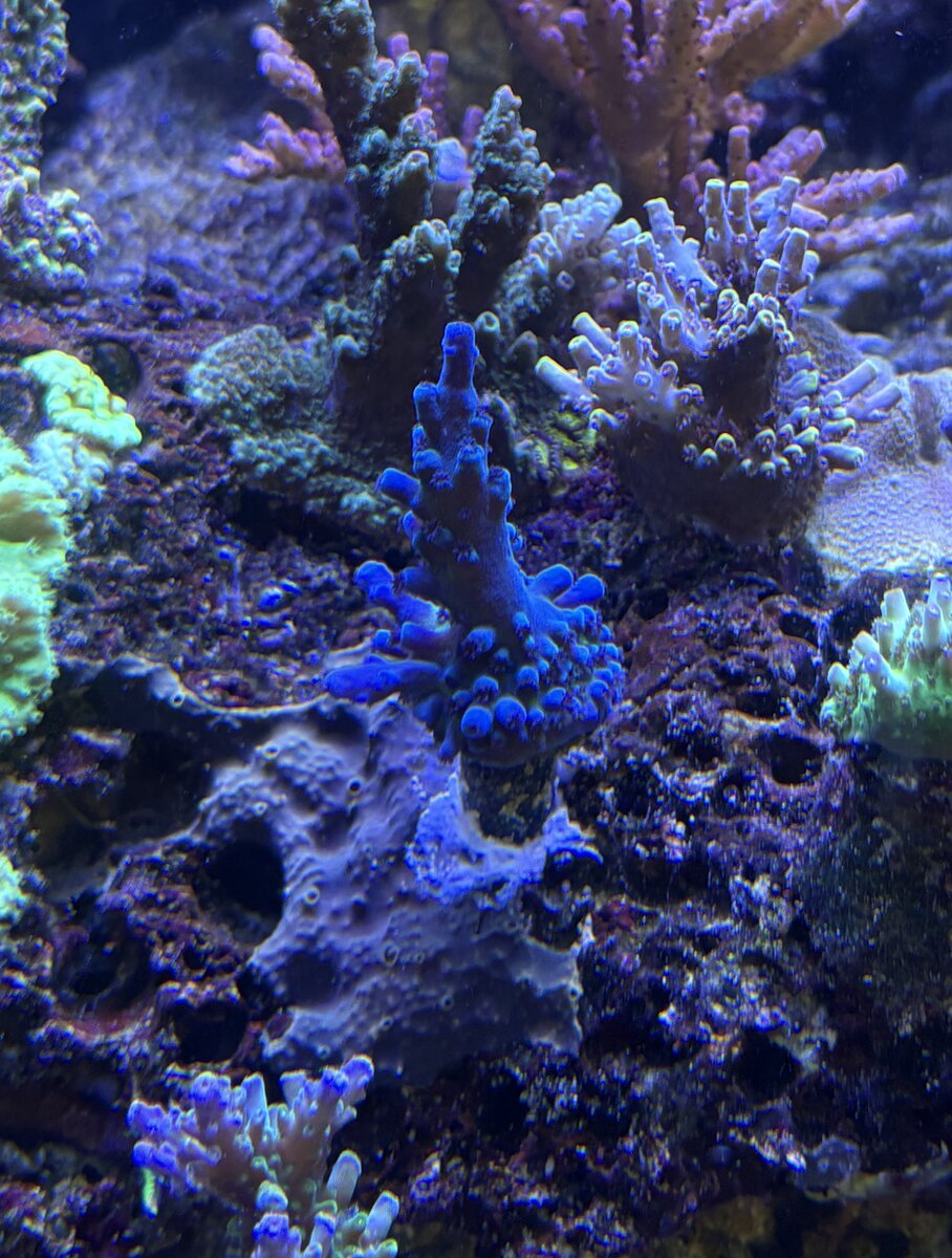 IMG_6314.jpeg