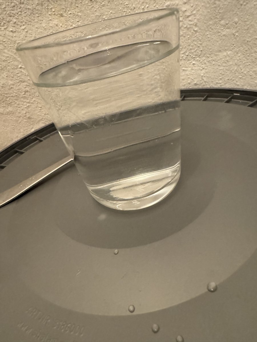 IMG_6317.jpeg