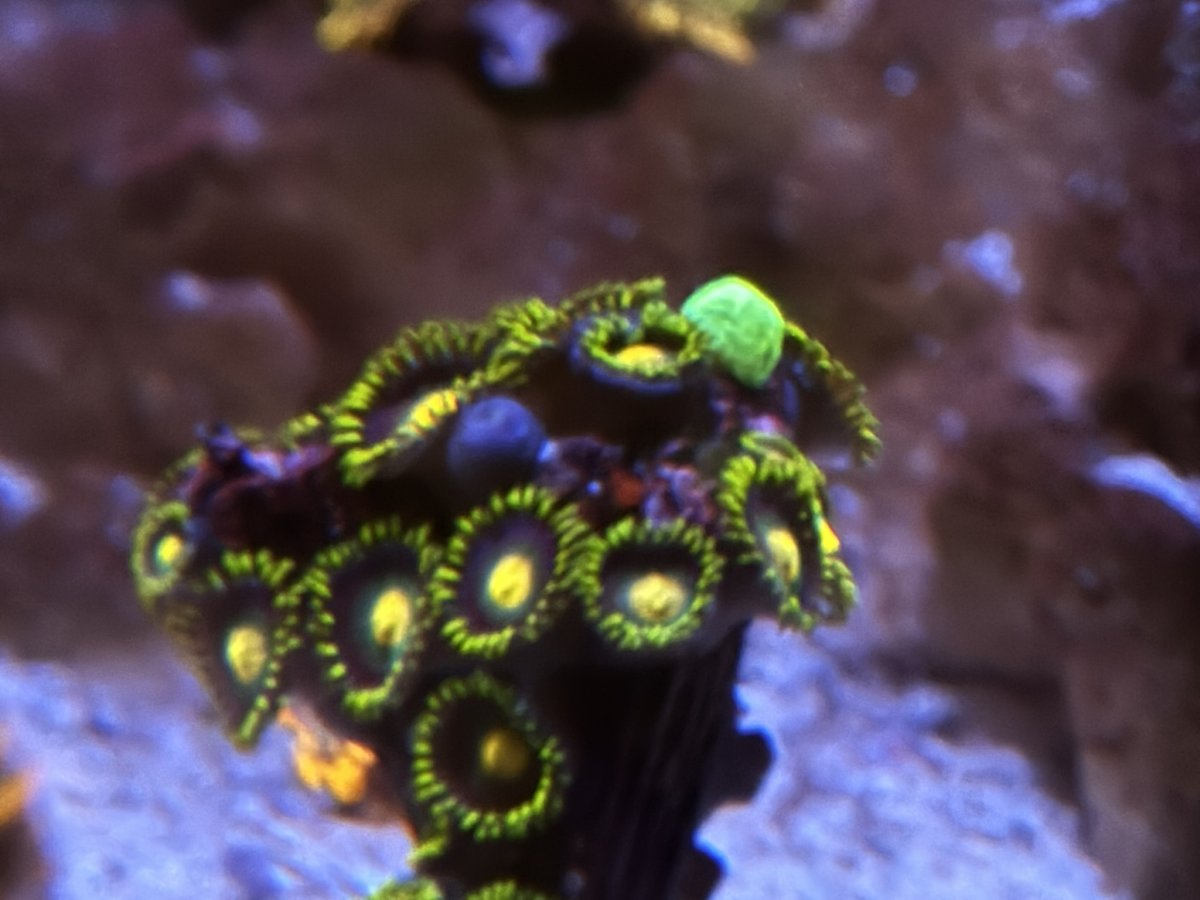 IMG_6317.JPEG
