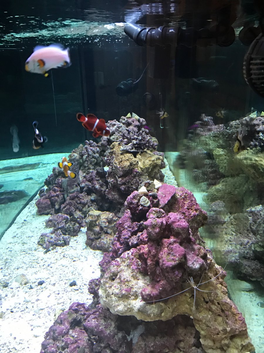 IMG_6335.JPG