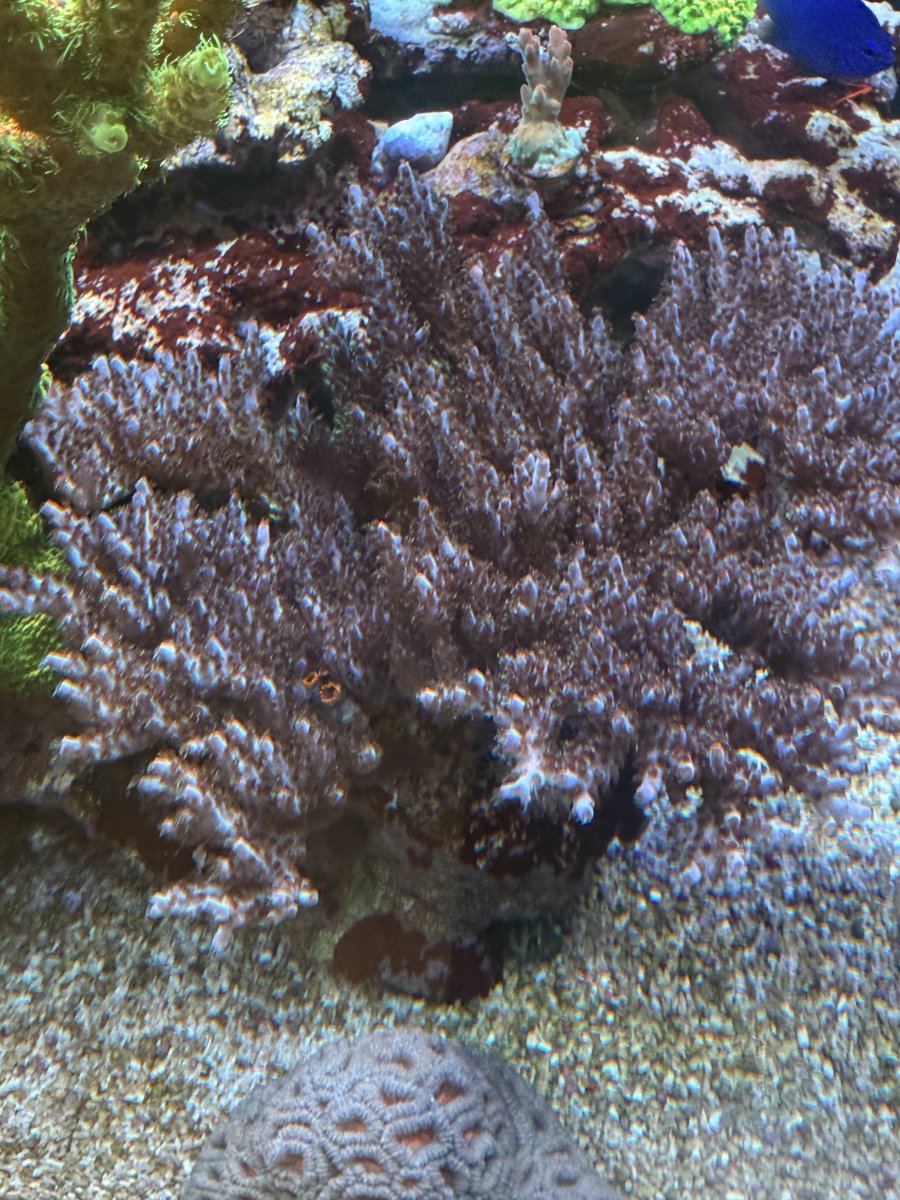 IMG_6338.jpeg