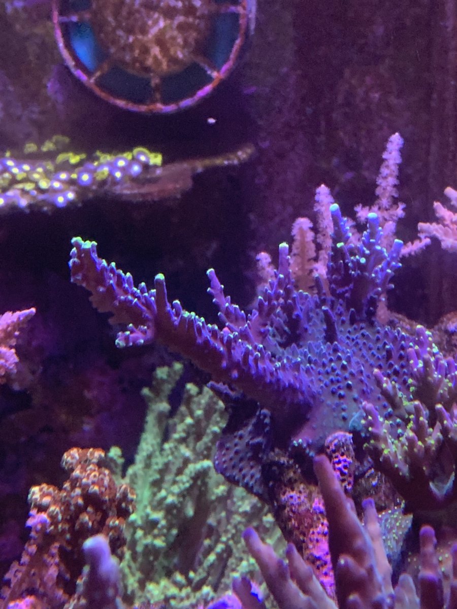 IMG_6375.jpeg