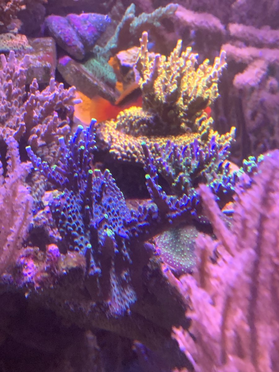IMG_6376.jpeg