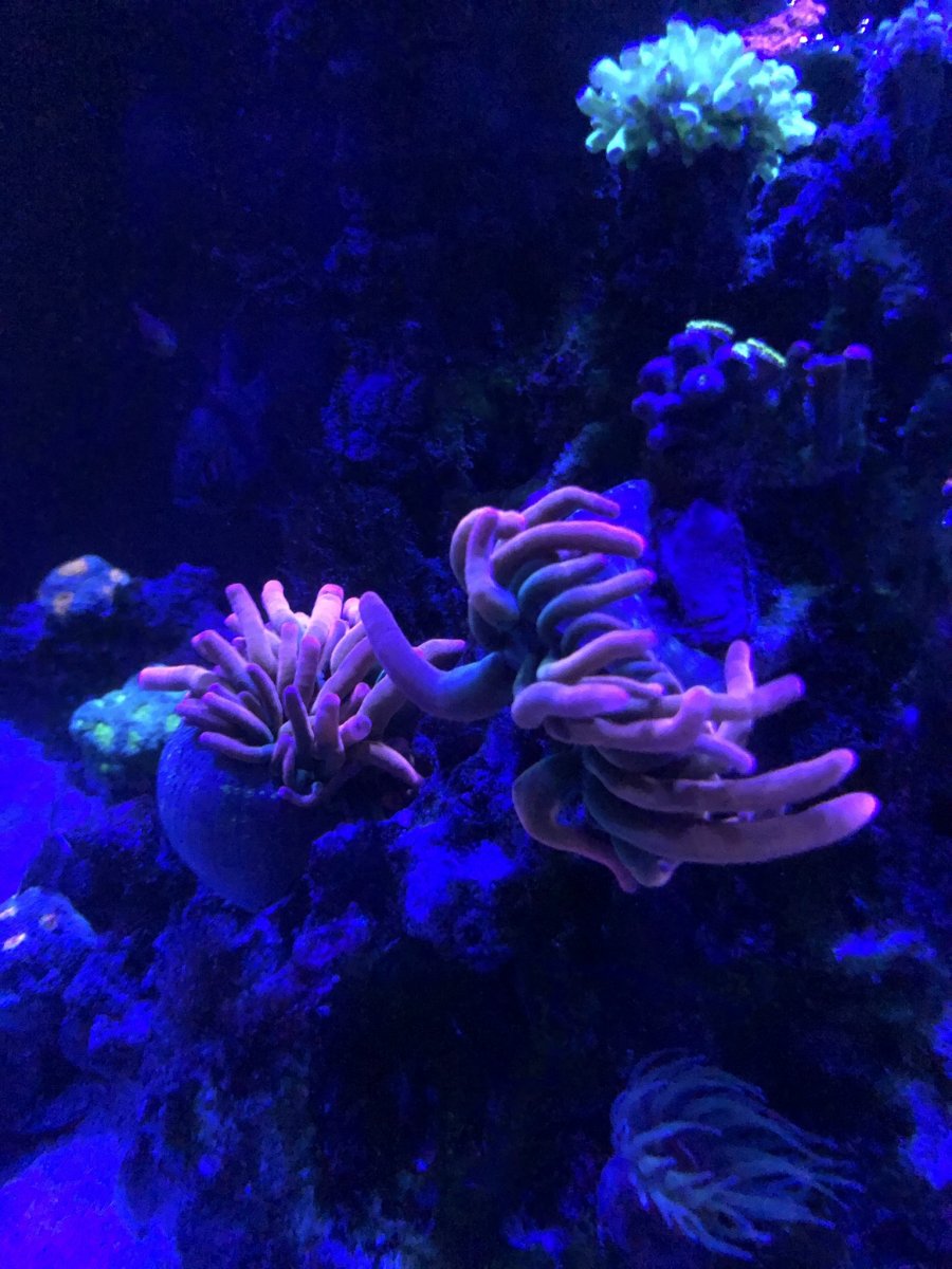 IMG_6380.jpeg