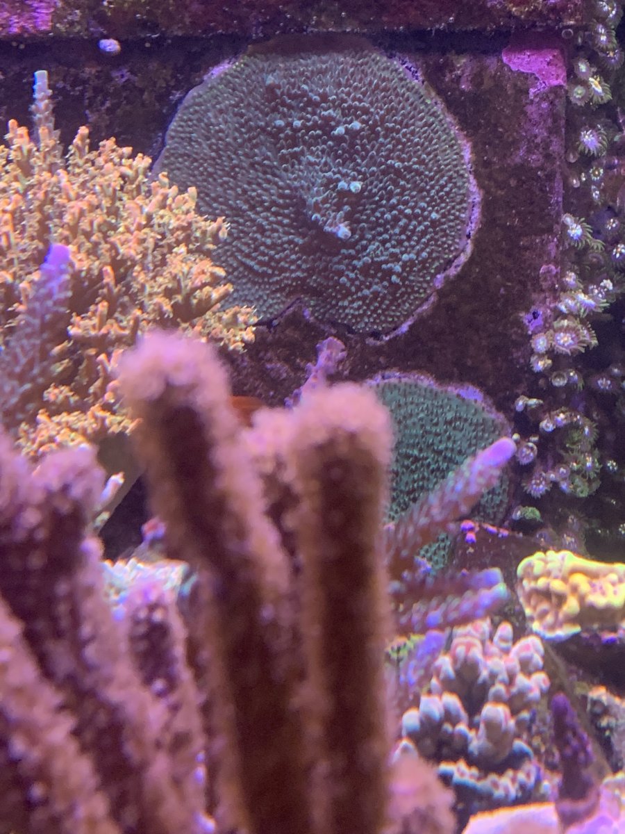 IMG_6385.jpeg