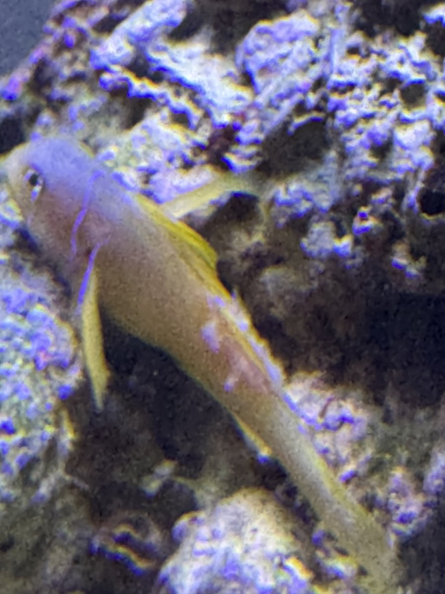 IMG_6391.jpeg