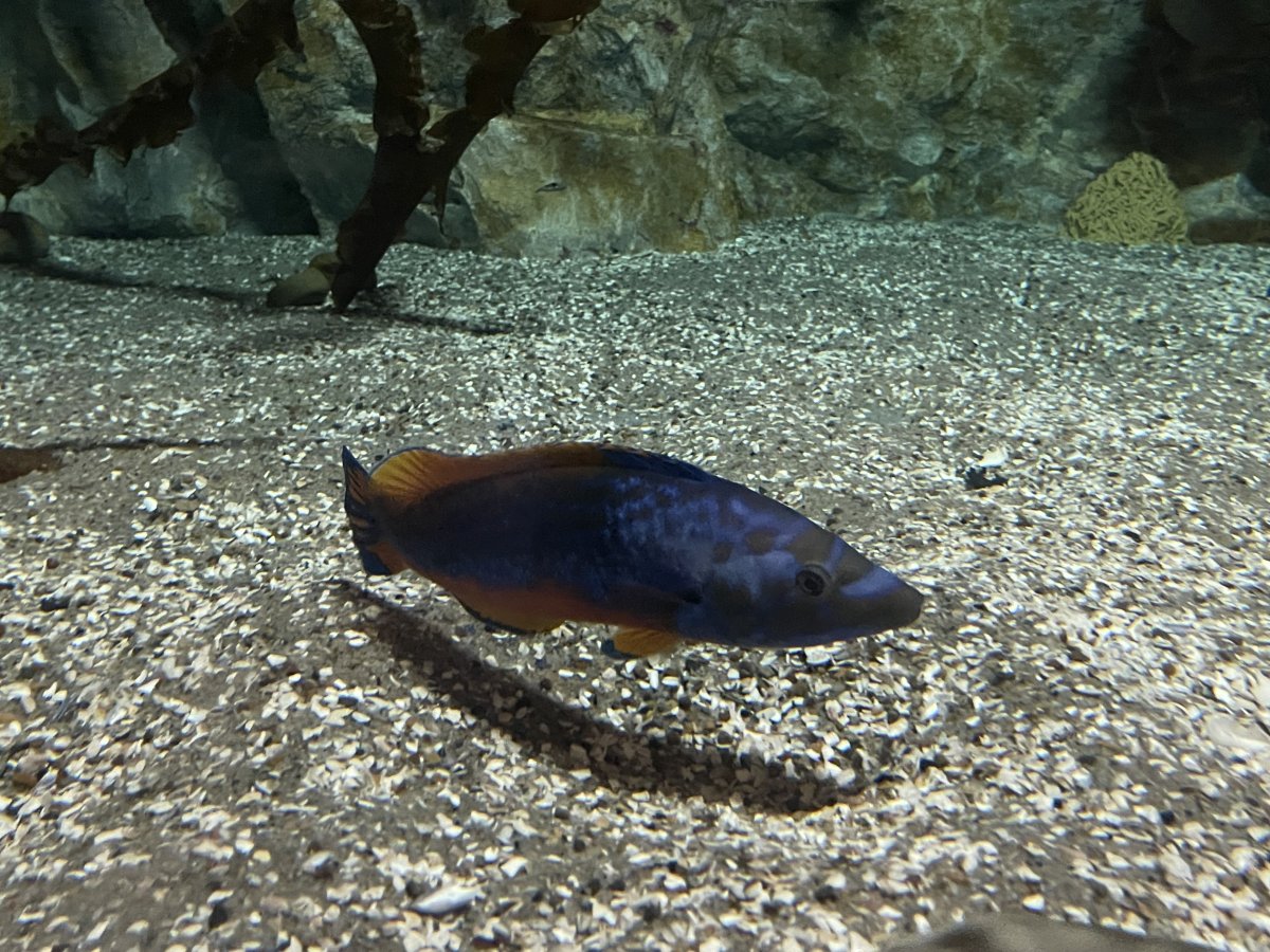 IMG_6397.jpeg