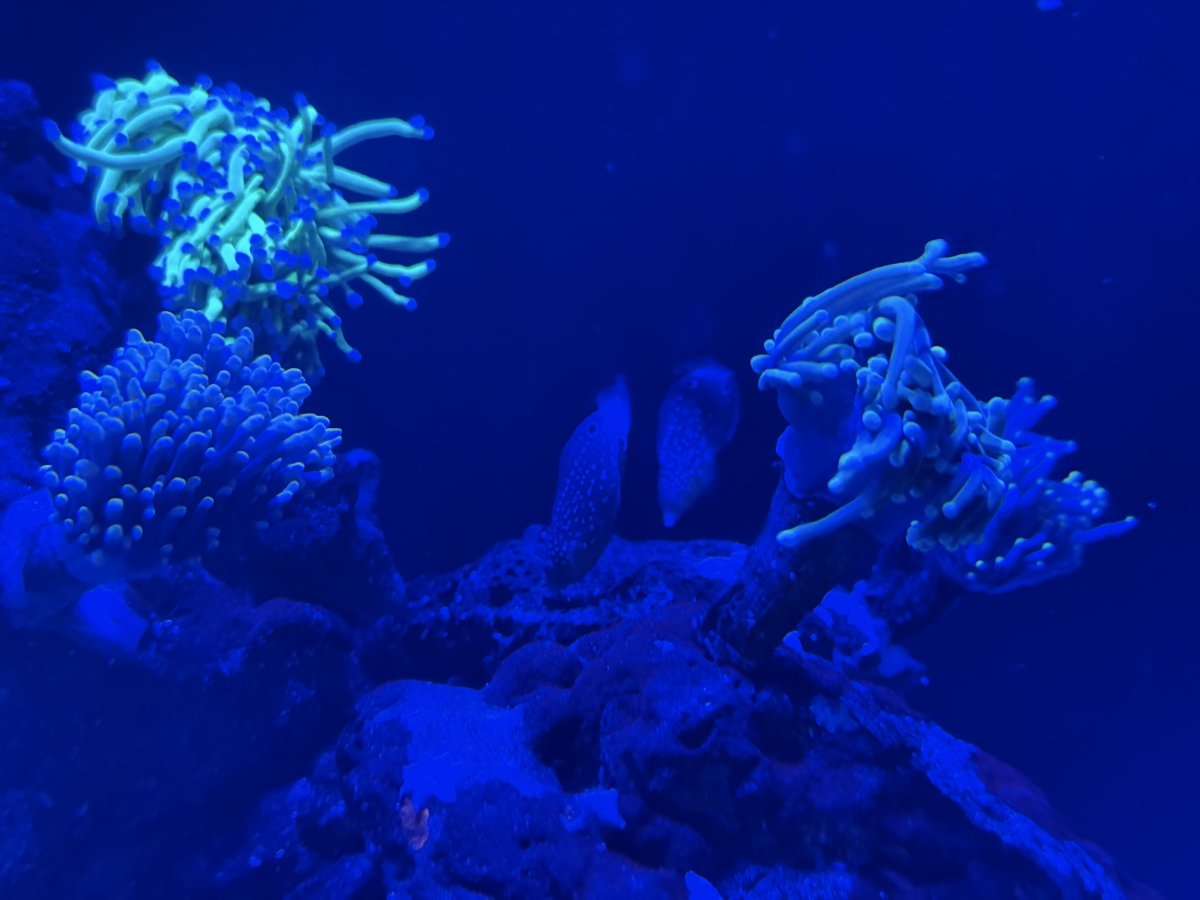 IMG_6409.jpeg
