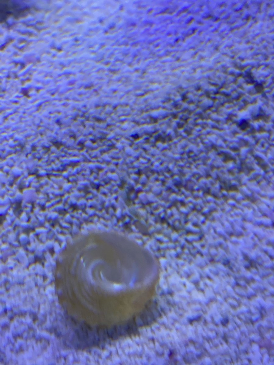 IMG_6416.jpeg