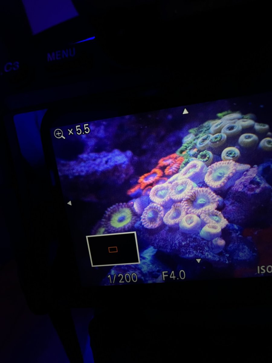 IMG_6416.jpeg
