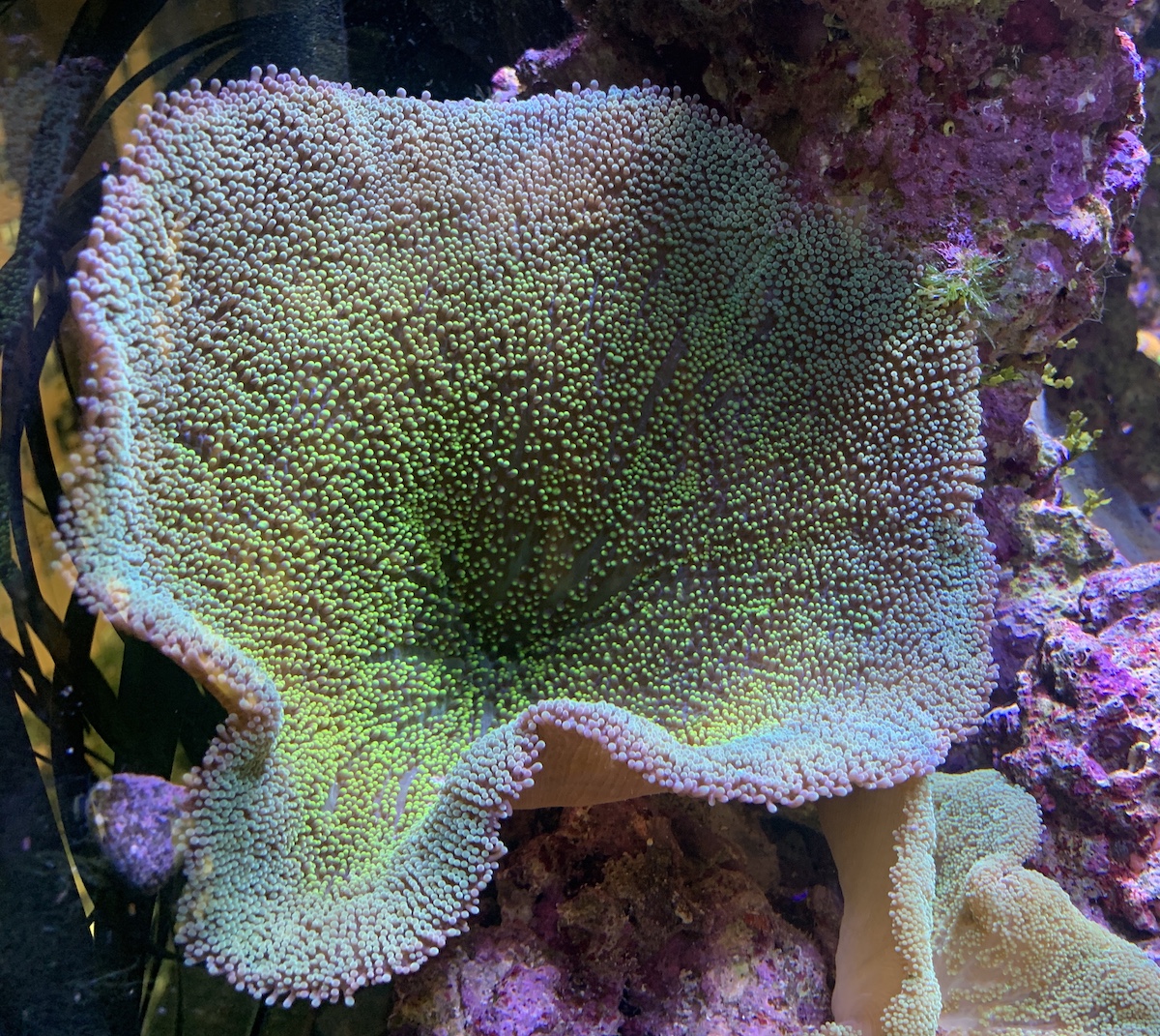IMG_6418.JPG