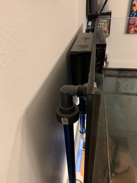 IMG_6433.jpeg