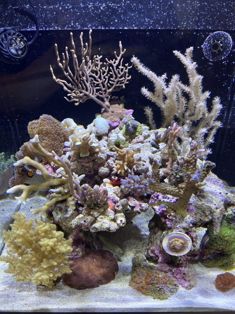 IMG_6437.jpeg