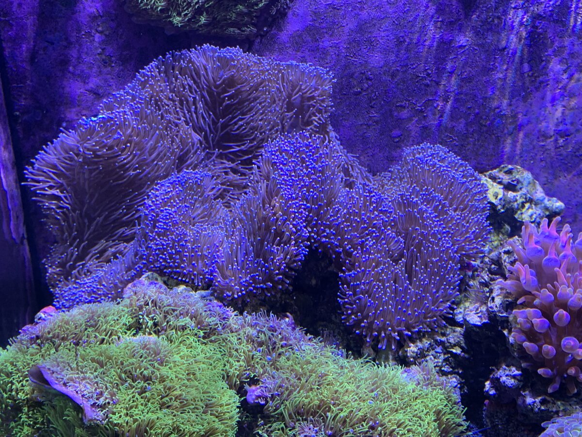 IMG_6449.jpeg