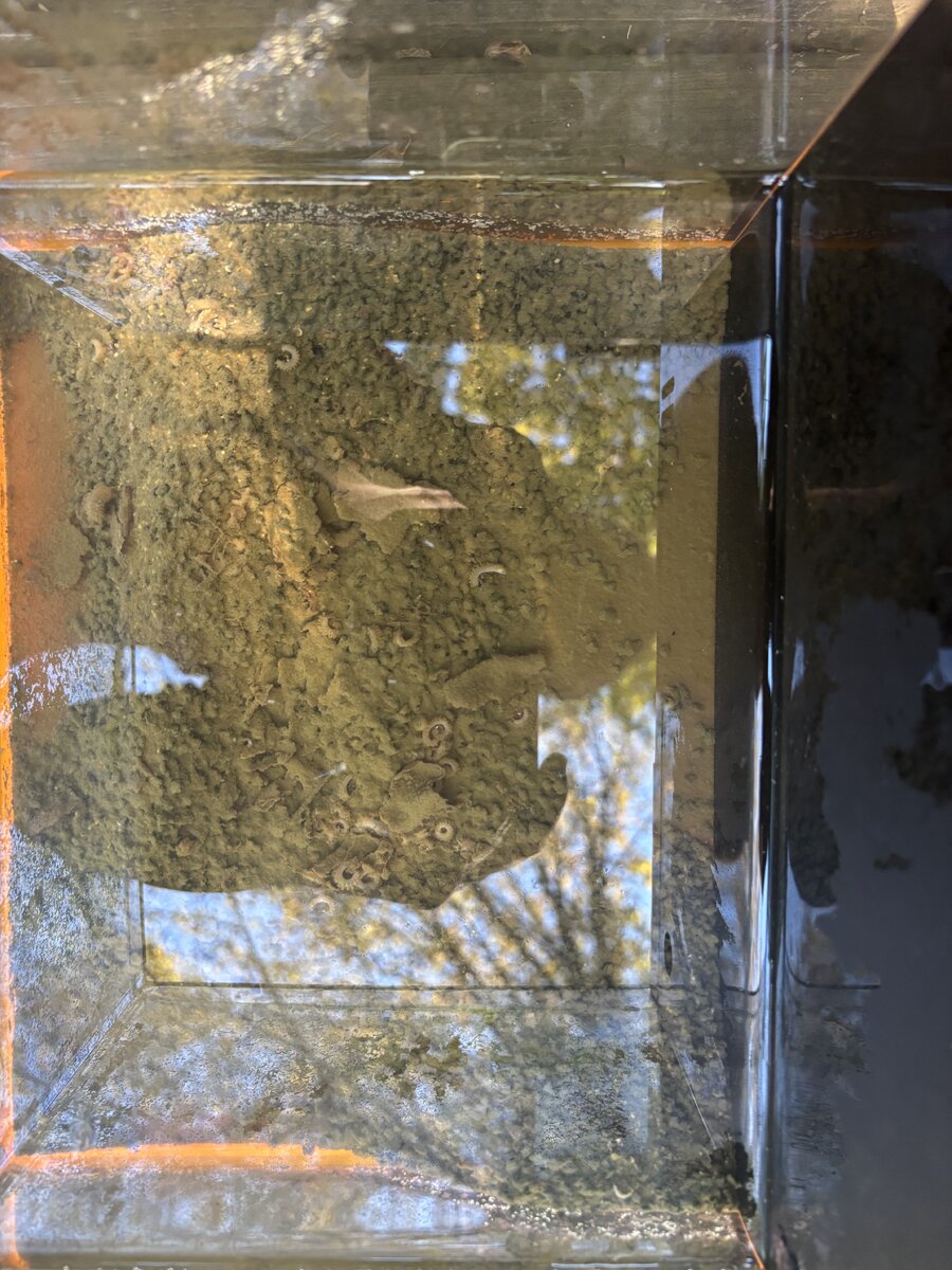 IMG_6483.jpeg