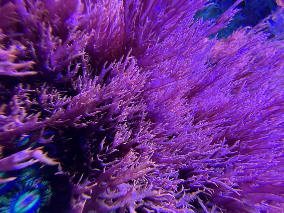 IMG_6485.jpeg