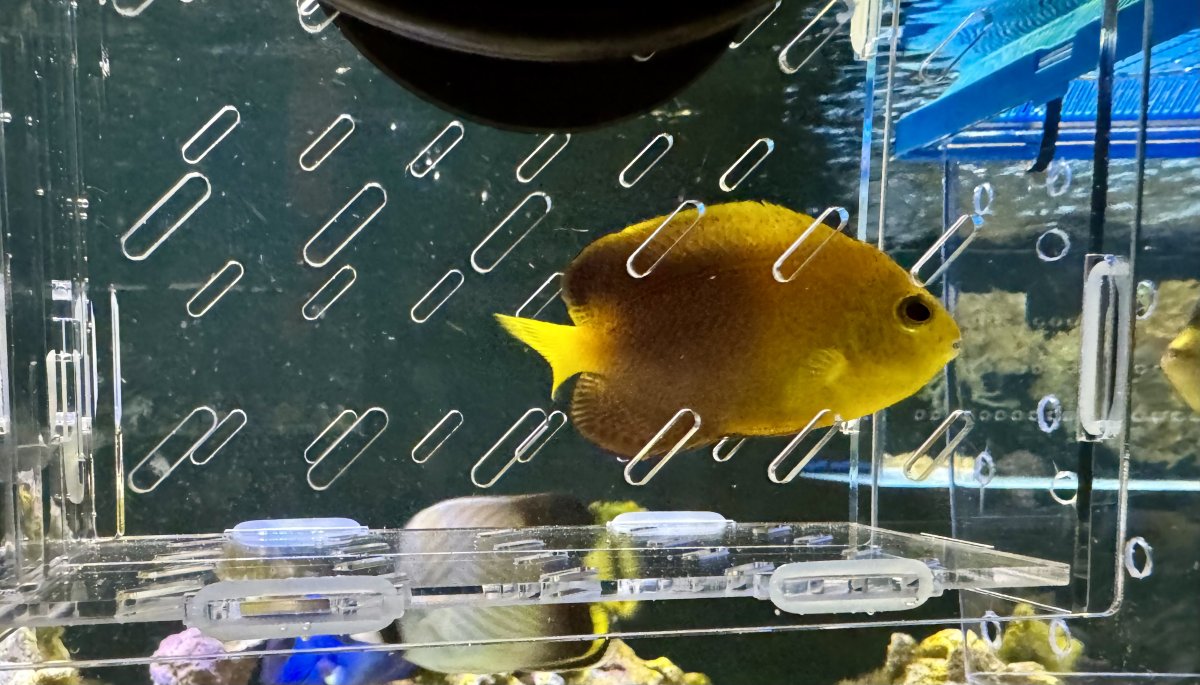 Build Thread - 270 Gallon 